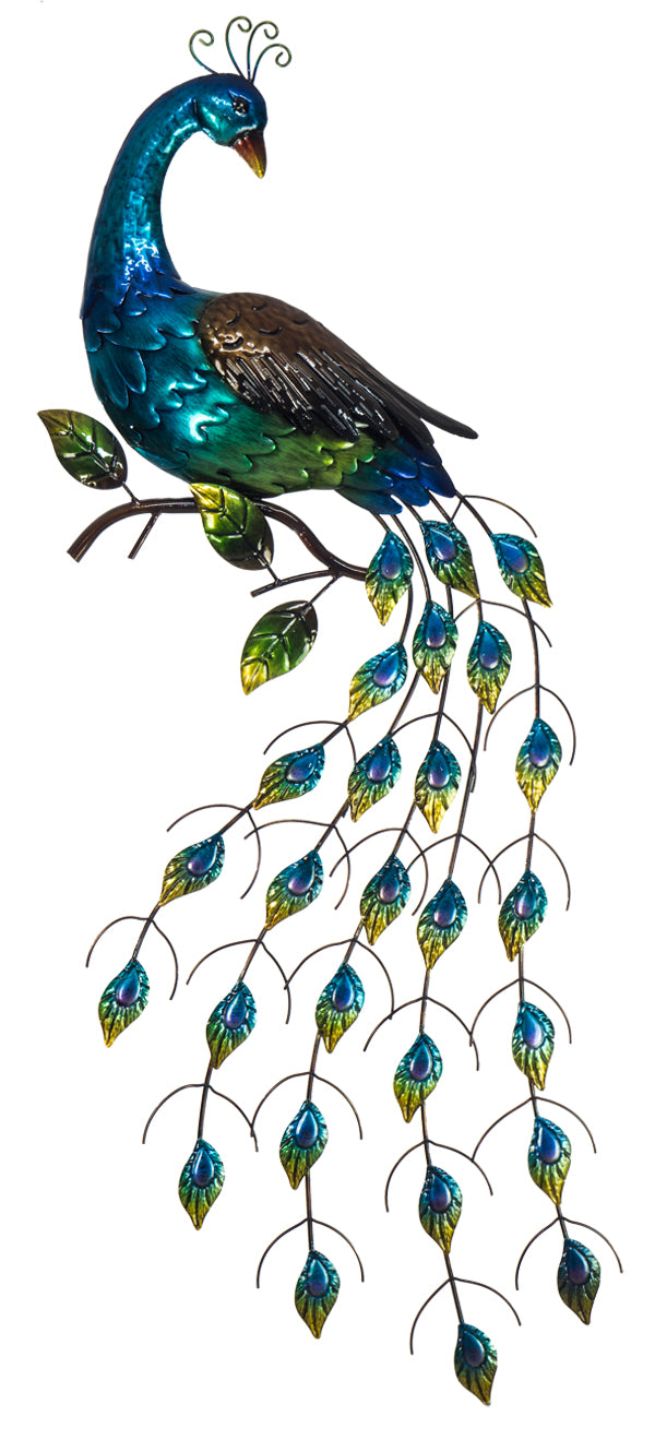 Peacock on Show