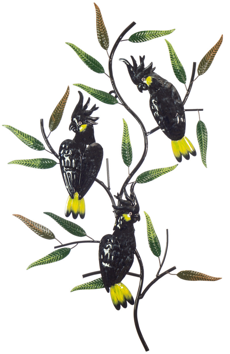 Black Cockatoos in a Gumtree