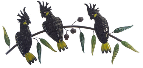 Black Cockatoo Trio on a Gumtree Branch