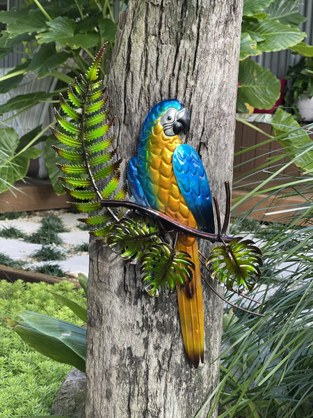 Blue Macaw