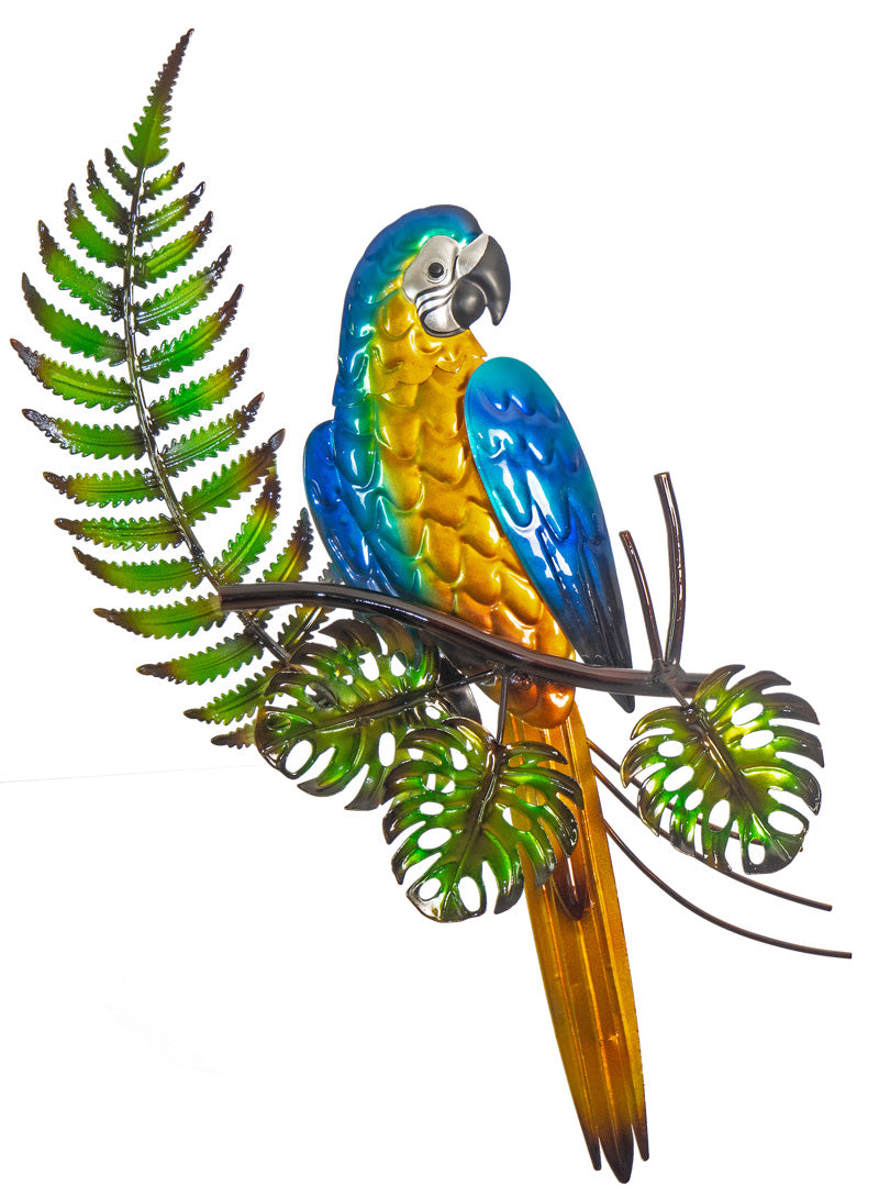 Blue Macaw