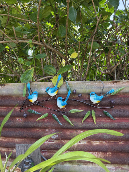 Blue Wrens on a Branch