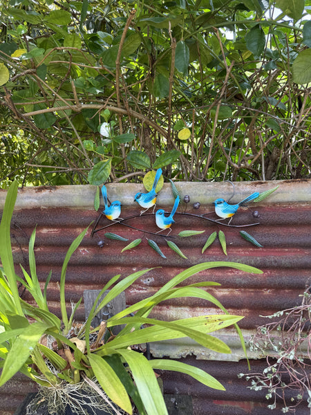 Blue Wrens on a Branch