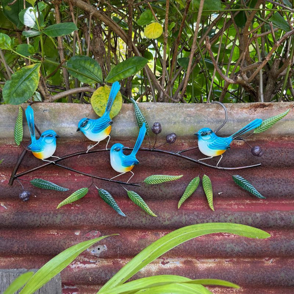 Blue Wrens on a Branch