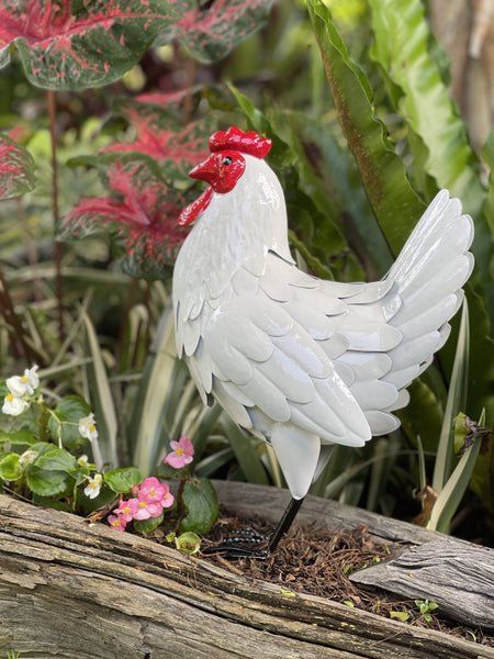 White Chicken