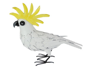 Cockatoo