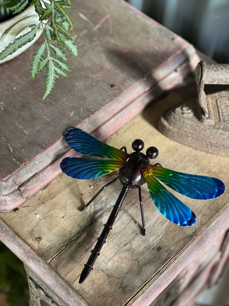 Small Blue Dragonfly