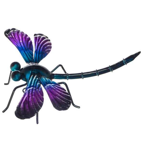 Small Purple Dragonfly