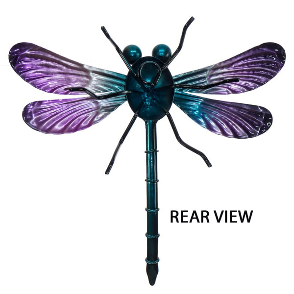 Small Purple Dragonfly