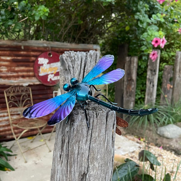 Small Purple Dragonfly