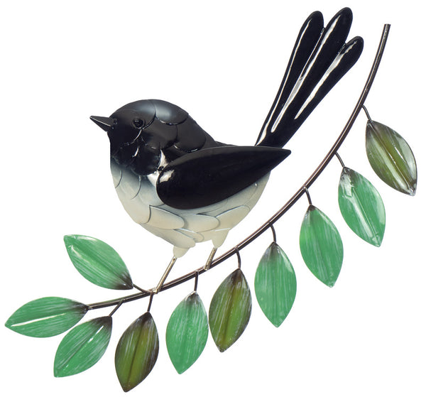 Elegant Willy Wagtail
