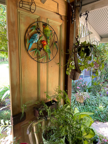 Parrot Trio with Gumnuts