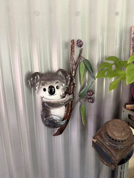 Koala in a Gumtree