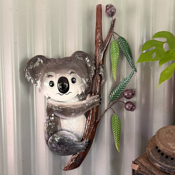 Koala in a Gumtree