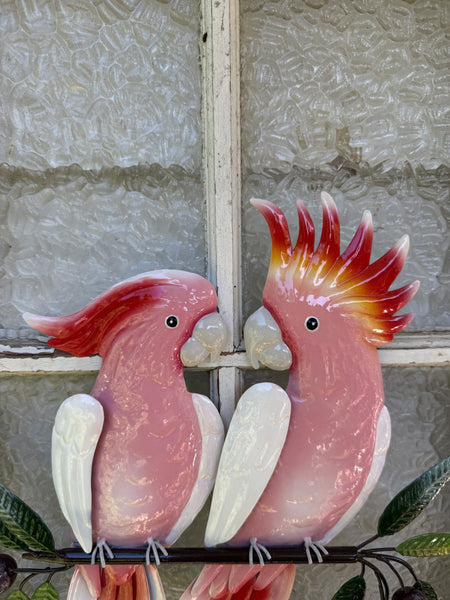 Major Mitchell Pair on a Branch