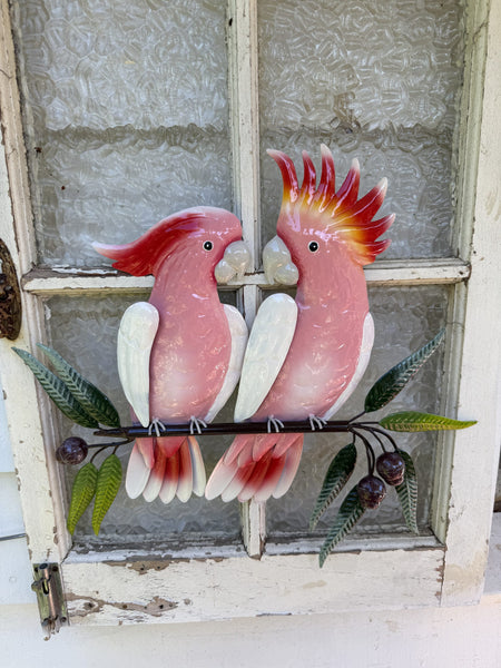 Major Mitchell Pair on a Branch