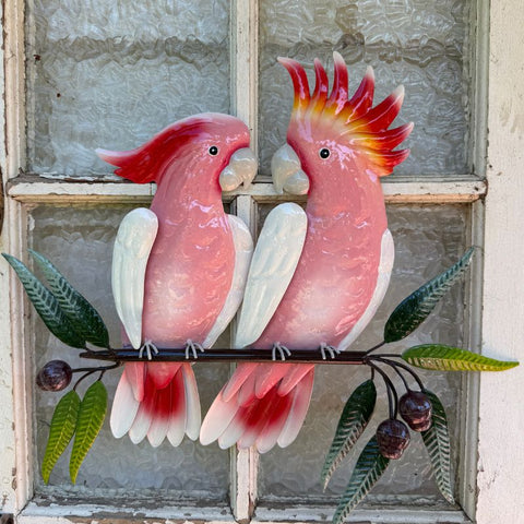 Major Mitchell Pair on a Branch