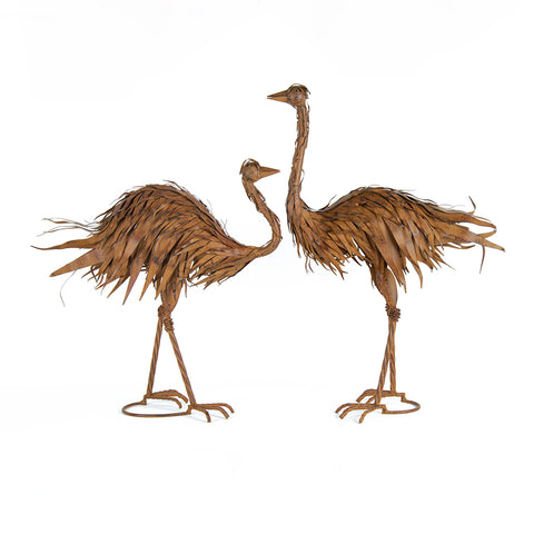 Ostrich Pair
