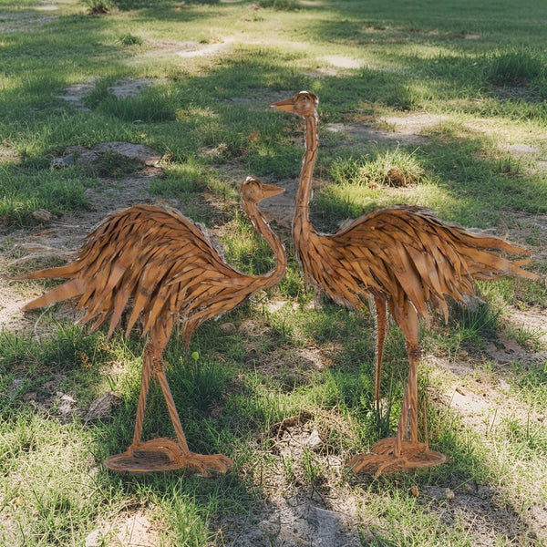 Ostrich Pair