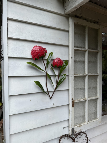 Red Waratah