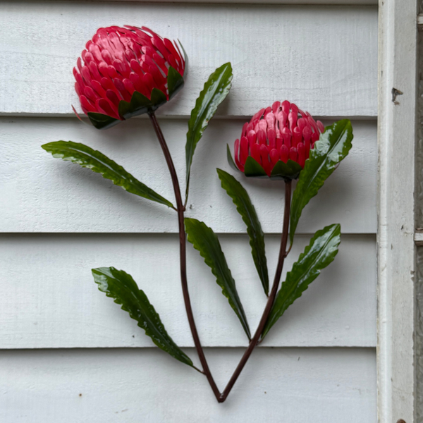 Red Waratah