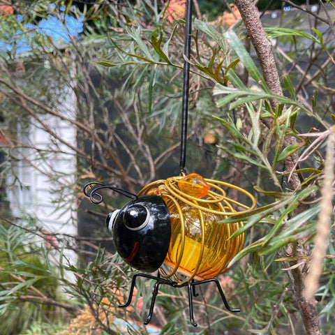 Solar Bee
