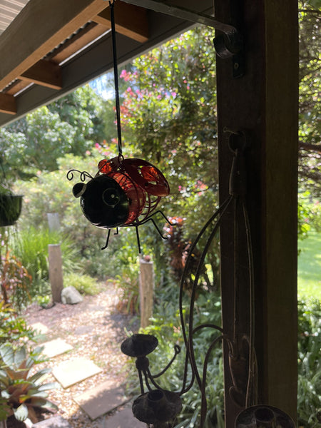 Solar Ladybird