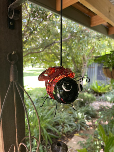 Solar Ladybird