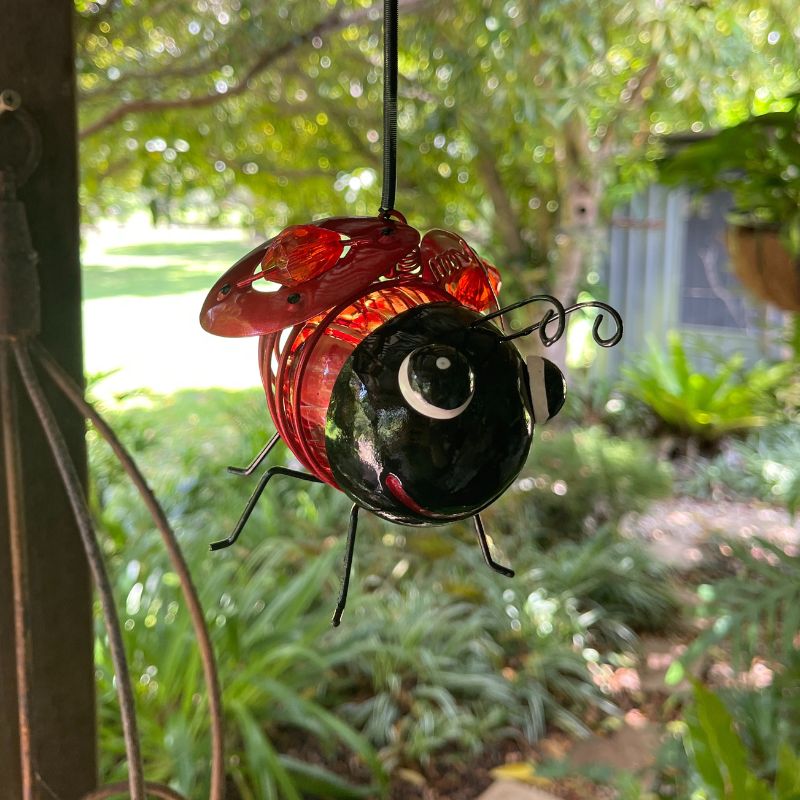 Solar Ladybird