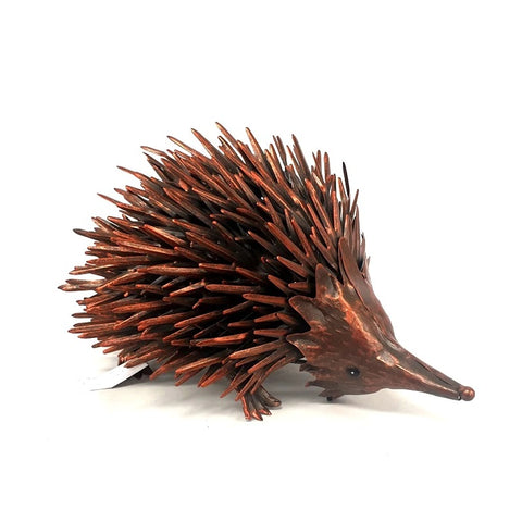 Echidna